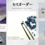 セミオーダーでの政策の工程